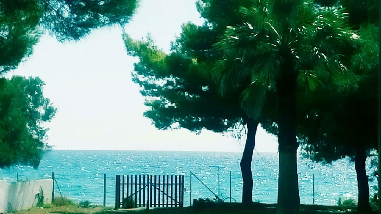 Seafront Villa Joan Nea Skioni Extérieur photo
